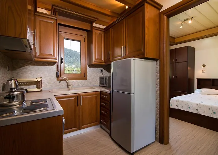 Semiramis 펜션 크리시 아모우디아